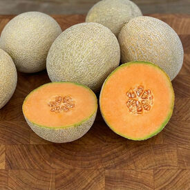 Thunderstruck, (F1) Melon Seeds